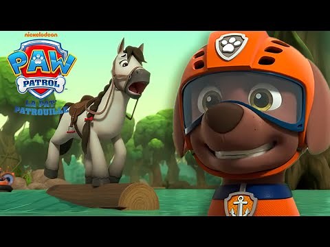 Zuma sauve un poney des rapides de la rivière! | La Pat' Patrouille | PAW Patrol | Compilation