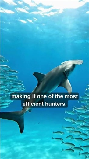 Is the Hammerhead Shark an Alien Design? 👽 #shorts #shark #ocean