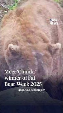 Meet ‘Chunk,’ winner of Fat Bear Week 2025