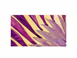 LG Hotel-TV 65WM960H 65 " - BRACK.CH