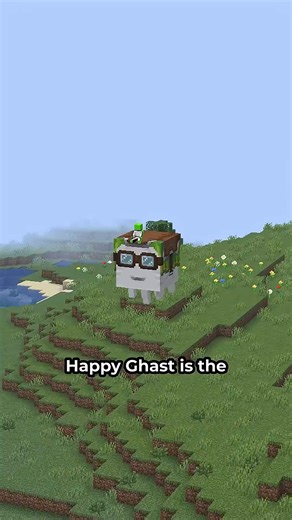 Happy Ghast Secrets in Minecraft #minecraft #minecraftmemes #minecraftbuilds #minecraftpe #minecraftmods | Game Of Minecraft
