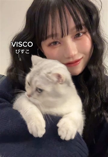 自己紹介動画の魅力と作り方