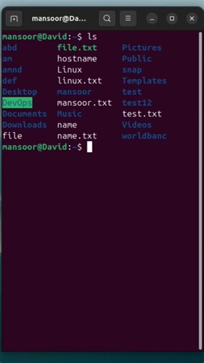 Day 12/100 Linux Commands |Sudo |Permissionsin Linux #linuxcommandlinetutorial #coding