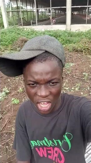 who knows farmatopia #funny #memes #fun #trending #shorts