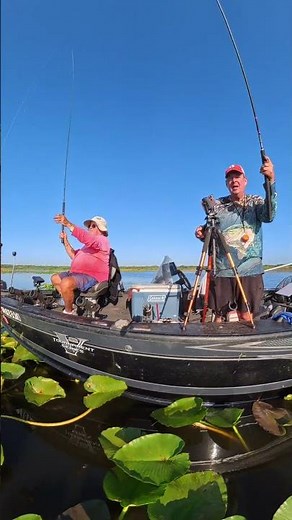 Incoming!!! ‪@insta360‬ #fishing #shellcracker