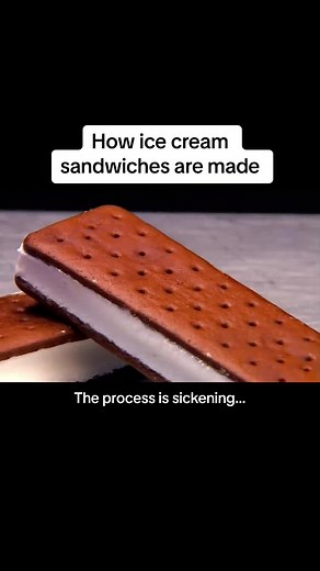 How Ice Cream is Made: The Process Revealed
