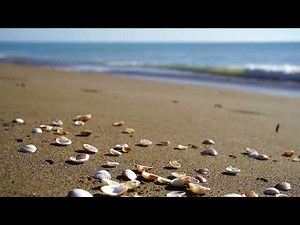 SketchUP Pro | SketchUP License Keys 2023 | SketchUP Install Tutorial | Free Download Newest Version