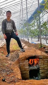 50K views · 181 reactions | This DIY GroundHeating System Makes Cherries Grow Like Magic farm | Thinktato | Facebook