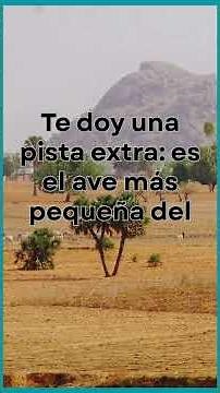 Reto animal 13: descubre un ave hermosa, brillante, rápida y casi de fantasía