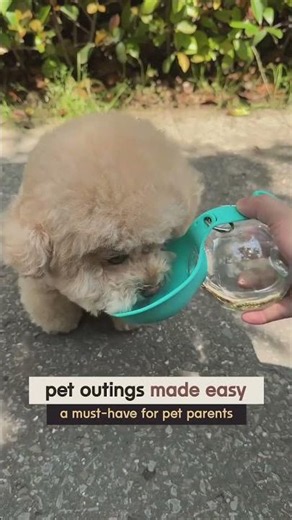Portable Dog Water Bottle with Bowl | Travel Pet Essential for Walks & Road Trips