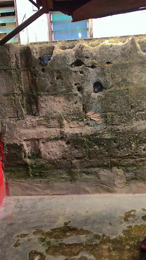 #creatorsearchinsights