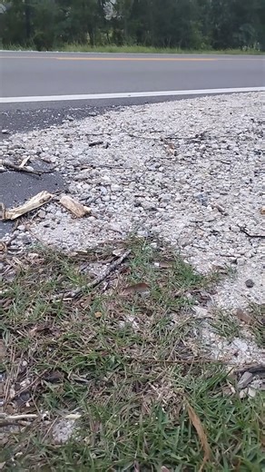 4.6L Passing Gear Air Box Mod Sound in Action #grandmarquis #crownvic #pantherplatform