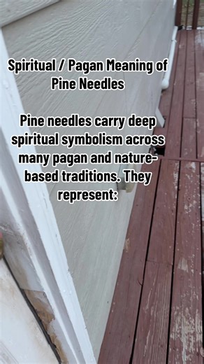 Visit my shop online on the Tedoo App. 15% for all TT orders using TikTok code at checkout! https://www.tedooo.com/shop/68afa4d6dc3a19c40ce300b6. #pagan #pagani #paganism #witch #witchtok