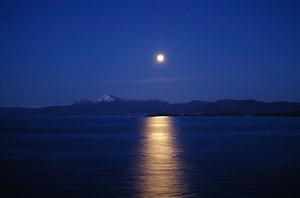 11 Poems Everybody In China Knows