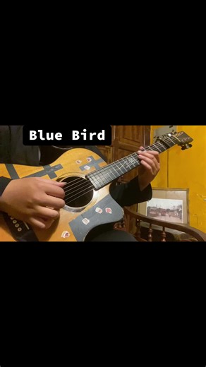 Learn Fingerstyle Guitar with 'Blue Bird' Practice