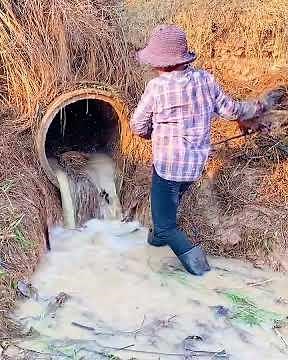 This Culvert Come Back to Life After Heavy Debris Removal #farming #drainagecleaner #drainunclogger