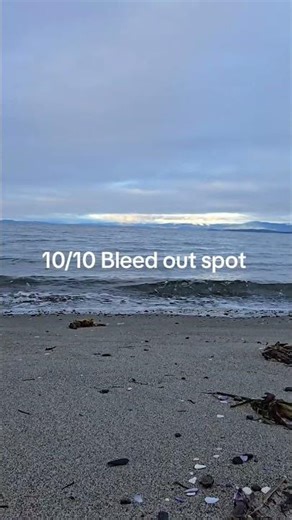 Surviving the Hostile Shores: Hiking Adventures in Mt. Hood #BleedOut #PNW #Hiking