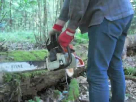 Tronçonneuse STIHL MS250 - Test de coupe sur billot en chêne