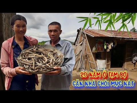 2 VỢ CHỒNG nghèo sống tạm bợ trong CĂN NHÀ đất cũ nát - tập 1595