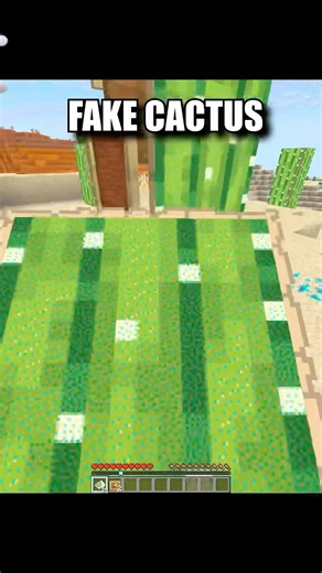 Minecraft FAKE Cactus💀 (World’s Smallest Violin) #minecraft #shorts