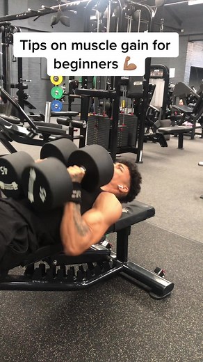 Muscle Gain for Beginners: Tips & Tricks
