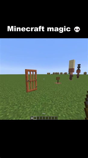 Minecraft LOGIC? 🤔