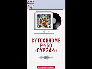 Cytochrome P450 3A4 (CYP3A4)
