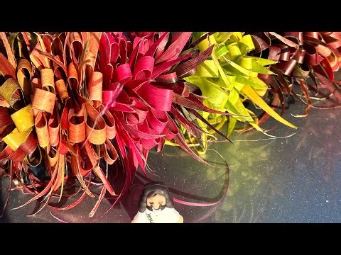 Ti Leaf Lei Tutorial | How I made my first Lei