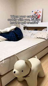 Cuddle Trap: The Adorable Cat Cuddling Technique