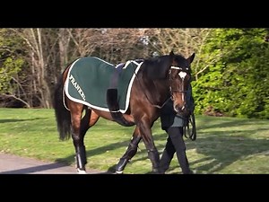 Juddmonte Farms - Behind The Scenes with Frankel and Kingman