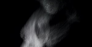 Video by ed br on Pexels