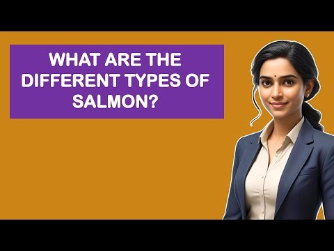 What are the different types of salmon?