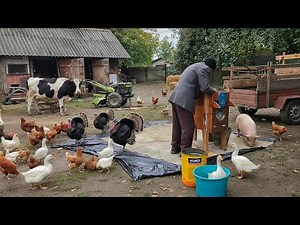 “Old age, warmed by love - Rural life beyond civilization”