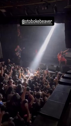 24K views · 2.6K reactions | "Don't light my fire" live in アルゼンチン | おとぼけビ～バ～　- Otoboke Beaver | Facebook