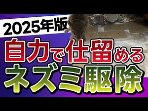 【被害を即ストップ】1人でできるネズミ駆除の道具選びと対策手順を解説ー対処編(超音波・忌避剤・マット)