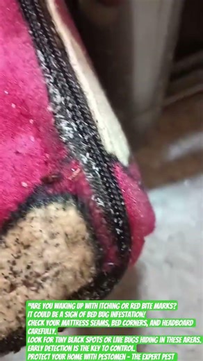 “Before you sleep tonight, check this… it could save you from a bed bug infestation!”