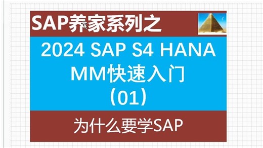 2024 SAP S4 HANA MM快速入门01 为什么要需SAP SAP MM SAP FICO SAP ABAP