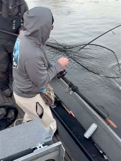 Carson Wentz AO1 Foundation on Reels