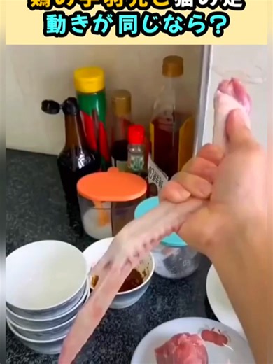 original sound - eddiechester_1983を使っているeddiechester_1983 (@eddiechester_1983)の動画