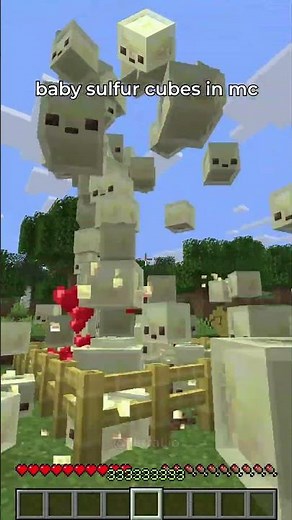 baby sulfur cubes in #minecraft 🫪