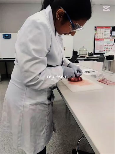 Laboratory Success Tips for Lab Technicians in 2025