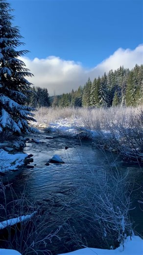 #winterwonderland #hiking #snoqualmiepass #snowadventures #mountainstreams