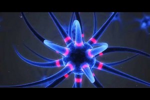 Brain Stimulation for Memory and Learning | Neuroscience