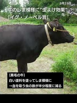 19年連続で日本人受賞「イグ・ノーベル賞」　日本人受賞者が多いワケは“懐の広さ”?【Nスタ解説】