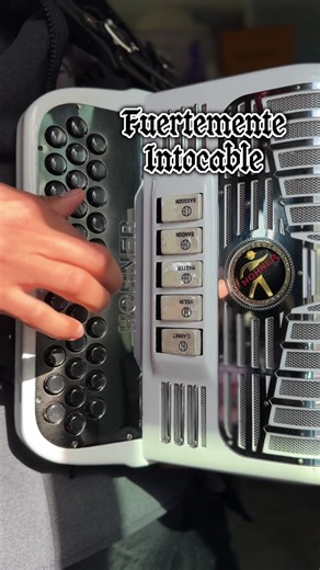 Fuertemente ❤️ Ya que no la tocó @Grupo Intocable @Mr.Ricardo Munoz el 14 en Peacock🥲 - - - - - - #acordeon #intocable #grupointocable #cover #rickymuñoz