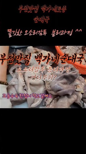 쫄깃오소리감투 손질 #부천맛집 #백가네순대국tv