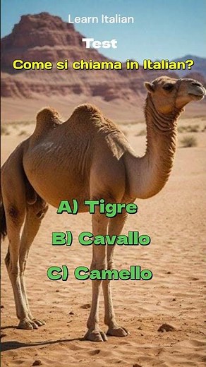 Basic Italian | Easy way to learn Italian Language | Italion lesson For beginners #learnitalia