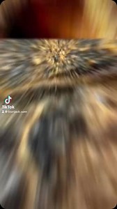 Jackson Lures & Rods on Instagram: "ヒラメが釣りたい人必見！！ ワームの使い方講座！ #砂団子 #フリークセット #フリークワーム #jackson #jacksonlures #ヒラメ #フラットフィッシュ #釣り #fishing #釣り好きな人と繋がりたい"