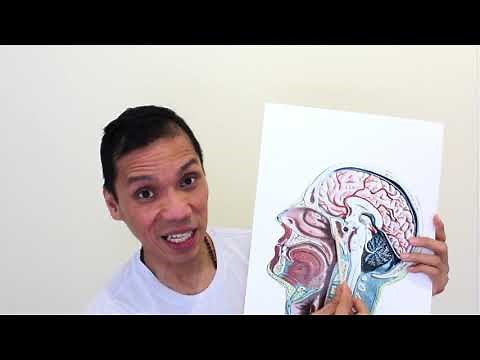 Khechari Mudra Secrets Revealed | Breathing Patterns Preceding the Seal and Release