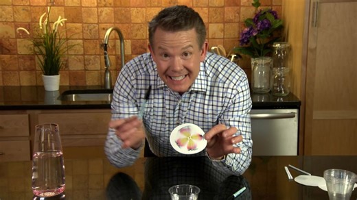 DIY Sci: Chromatography